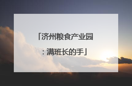 济州粮食产业园：满班长的手
