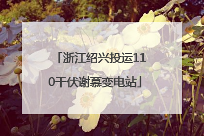 浙江绍兴投运110千伏谢慕变电站