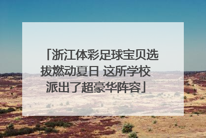 浙江体彩足球宝贝选拔燃动夏日 这所学校派出了超豪华阵容