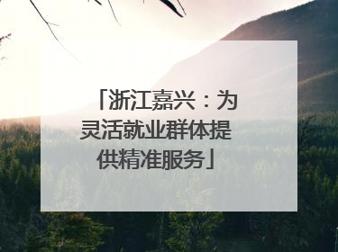 浙江嘉兴：为灵活就业群体提供精准服务