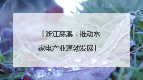 浙江慈溪：推动水家电产业蓬勃发展