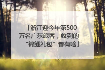 浙江迎今年第500万名广东旅客，收到的“锦鲤礼包”都有啥