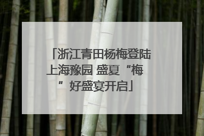 浙江青田杨梅登陆上海豫园 盛夏“梅”好盛宴开启