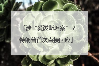 涉“爱泼斯坦案”？特朗普首次直接回应