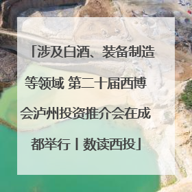 涉及白酒、装备制造等领域 第二十届西博会泸州投资推介会在成都举行丨数读西投