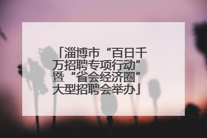 淄博市“百日千万招聘专项行动”暨“省会经济圈”大型招聘会举办