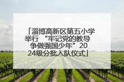 淄博高新区第五小学举行 “牢记党的教导 争做强国少年”2024级分批入队仪式