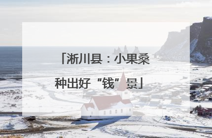 淅川县：小果桑种出好“钱”景