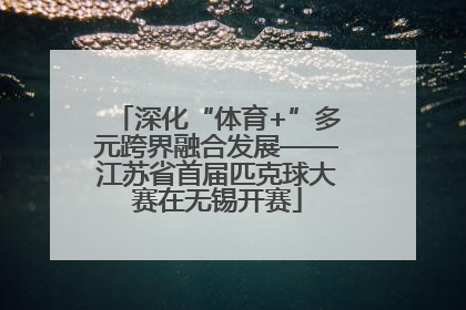 深化“体育+”多元跨界融合发展——江苏省首届匹克球大赛在无锡开赛