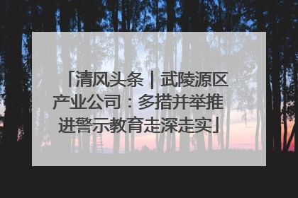 清风头条｜武陵源区产业公司：多措并举推进警示教育走深走实