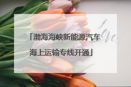 渤海海峡新能源汽车海上运输专线开通