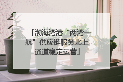 渤海湾港“两湾一航”供应链服务北上通道稳定运营