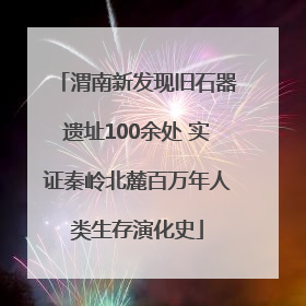 渭南新发现旧石器遗址100余处 实证秦岭北麓百万年人类生存演化史