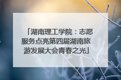 湖南理工学院：志愿服务点亮第四届湖南旅游发展大会青春之光