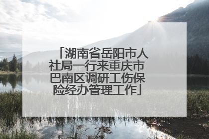 湖南省岳阳市人社局一行来重庆市巴南区调研工伤保险经办管理工作