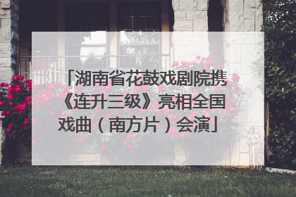 湖南省花鼓戏剧院携《连升三级》亮相全国戏曲（南方片）会演