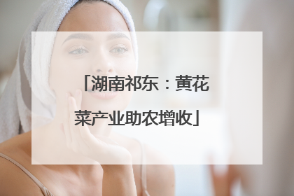 湖南祁东：黄花菜产业助农增收