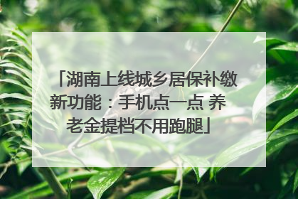 湖南上线城乡居保补缴新功能：手机点一点 养老金提档不用跑腿