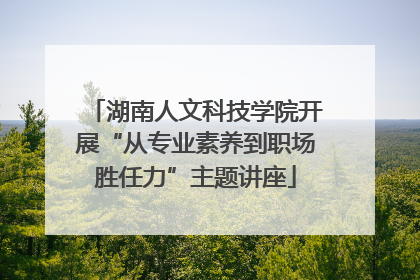 湖南人文科技学院开展“从专业素养到职场胜任力”主题讲座