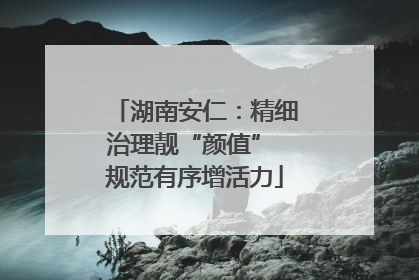 湖南安仁：精细治理靓“颜值” 规范有序增活力