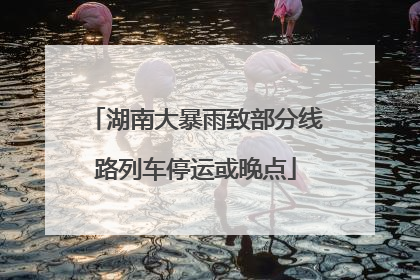 湖南大暴雨致部分线路列车停运或晚点