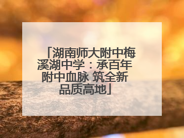 湖南师大附中梅溪湖中学：承百年附中血脉 筑全新品质高地