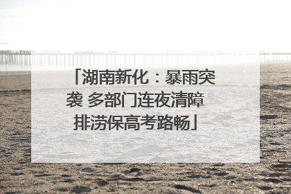 湖南新化：暴雨突袭 多部门连夜清障排涝保高考路畅