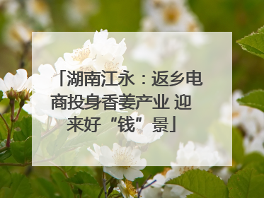湖南江永：返乡电商投身香姜产业 迎来好“钱”景
