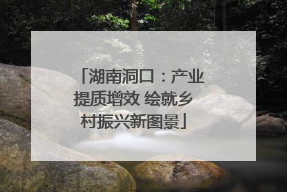 湖南洞口：产业提质增效 绘就乡村振兴新图景