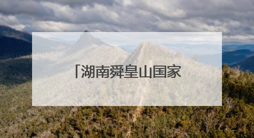 湖南舜皇山国家级自然保护区巡护发现国家二级保护动物——脆蛇蜥