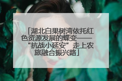 湖北白果树湾依托红色资源发展的蝶变——“抗战小延安”走上农旅融合振兴路