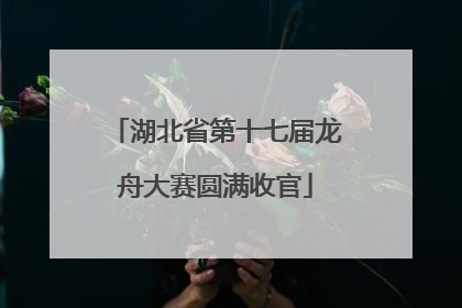 湖北省第十七届龙舟大赛圆满收官