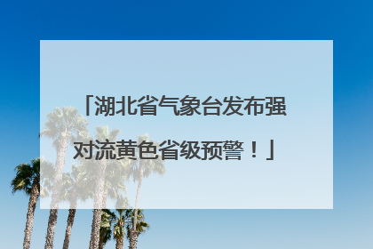 湖北省气象台发布强对流黄色省级预警！