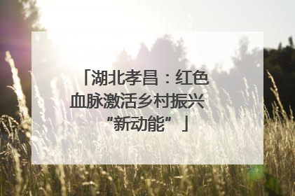 湖北孝昌：红色血脉激活乡村振兴“新动能”