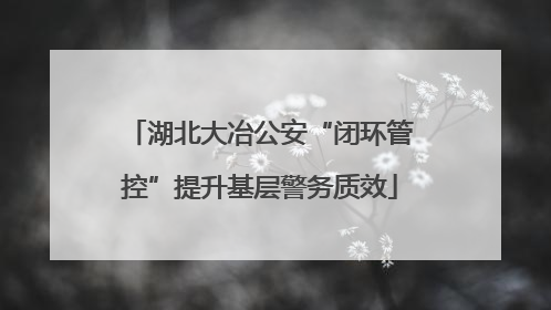 湖北大冶公安“闭环管控”提升基层警务质效
