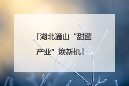 湖北通山“甜蜜产业”焕新机