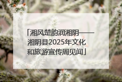 湘风楚韵润湘阴——湘阴县2025年文化和旅游宣传周见闻