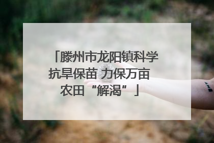 滕州市龙阳镇科学抗旱保苗 力保万亩农田“解渴”