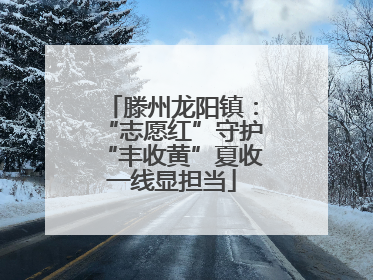 滕州龙阳镇：“志愿红”守护“丰收黄”夏收一线显担当