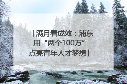 满月看成效：浦东用“两个100万”点亮青年人才梦想