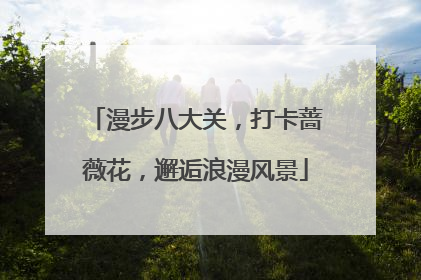 漫步八大关，打卡蔷薇花，邂逅浪漫风景