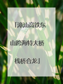 漳汕高铁东山跨海特大桥栈桥合龙