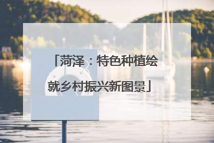 菏泽：特色种植绘就乡村振兴新图景