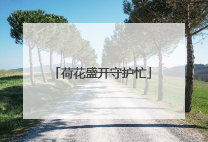 荷花盛开守护忙