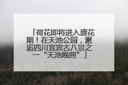荷花即将进入盛花期！在天池公园，邂逅四川宜宾古八景之一“天池晚照”
