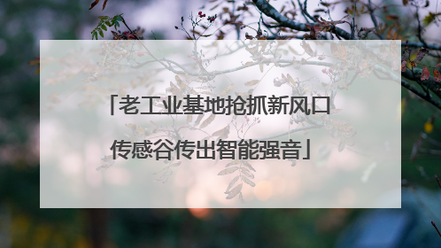 老工业基地抢抓新风口 传感谷传出智能强音