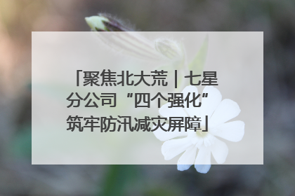 聚焦北大荒｜七星分公司“四个强化”筑牢防汛减灾屏障