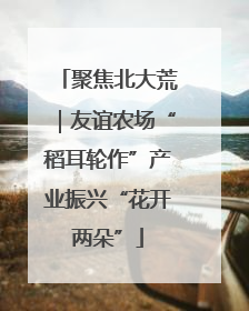 聚焦北大荒｜友谊农场“稻耳轮作”产业振兴“花开两朵”