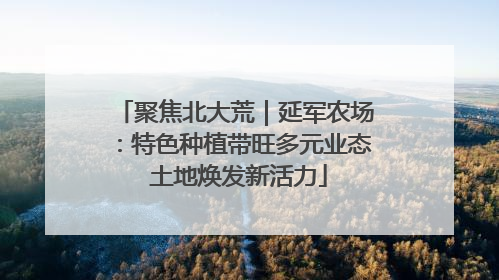 聚焦北大荒｜延军农场：特色种植带旺多元业态 土地焕发新活力