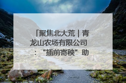 聚焦北大荒｜青龙山农场有限公司：“插前寄秧”助力农业节本增效